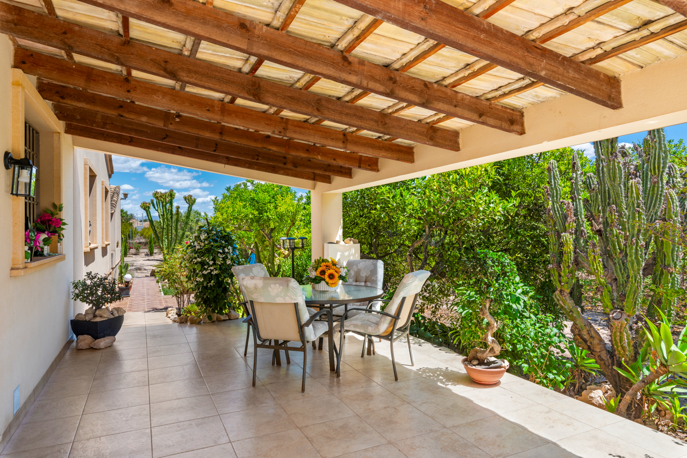 Maison de campagne à vendre à Elche 3