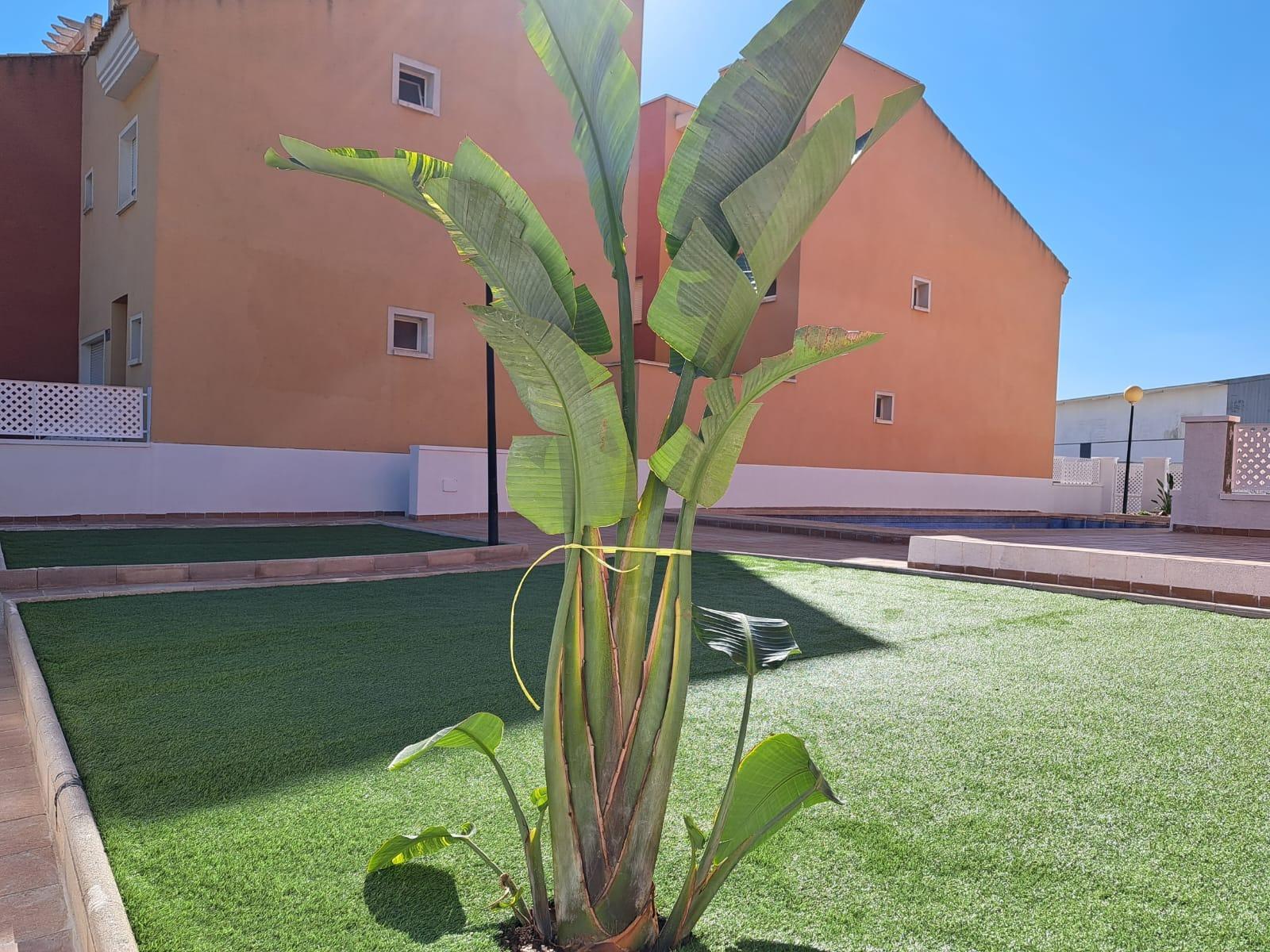 Maison de ville à vendre à Alicante 23