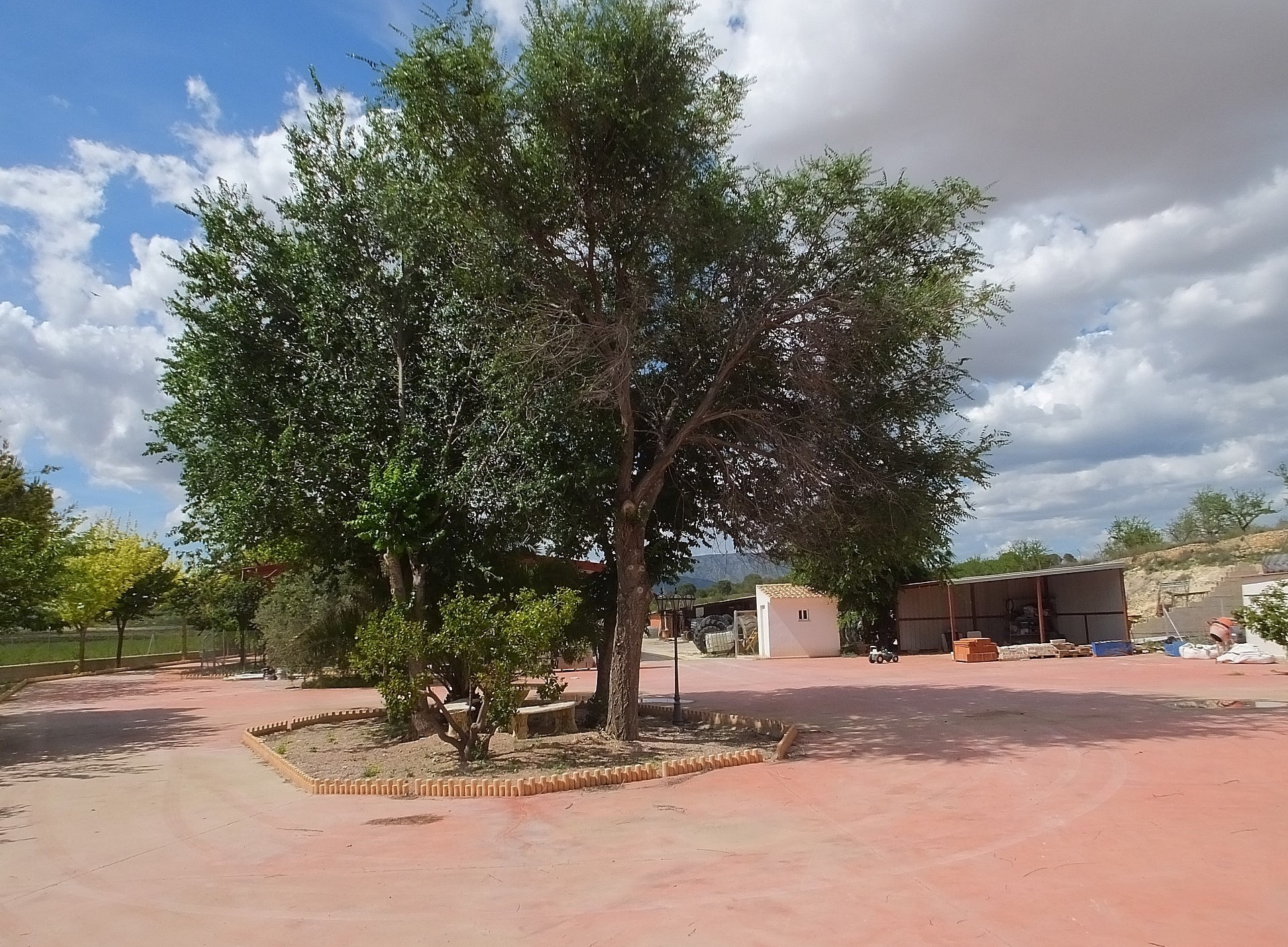 Countryhome for sale in Guardamar and surroundings 25