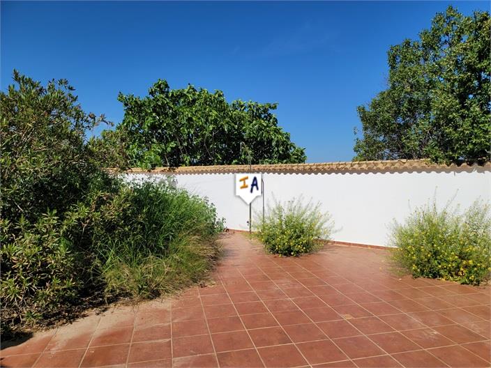 Casas de Campo en venta en Guardamar and surroundings 6