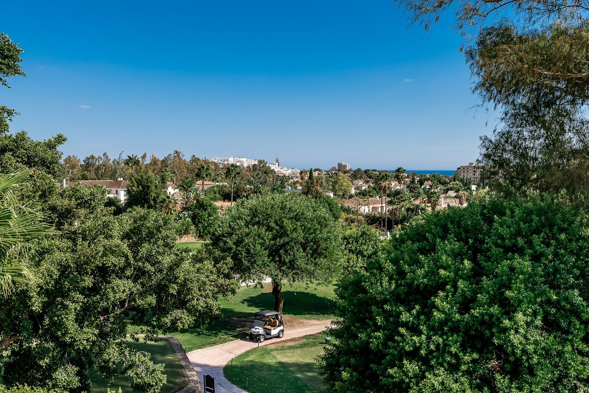 Haus zum Verkauf in Marbella - Golden Mile and Nagüeles 17