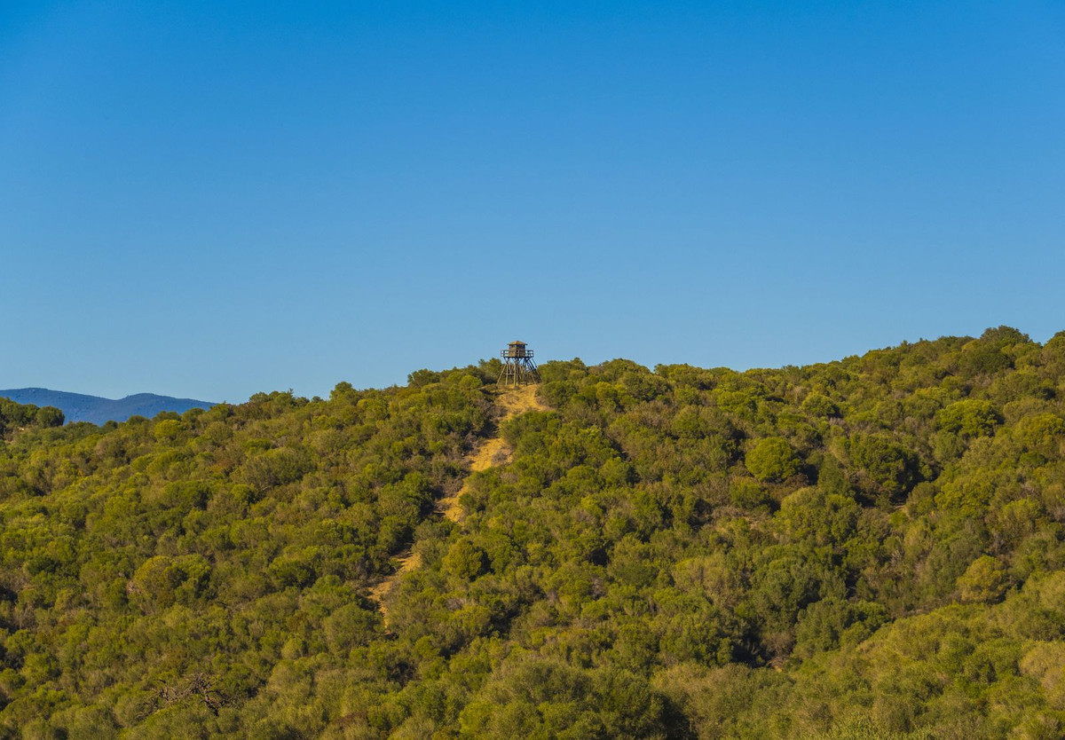 Maison de campagne à vendre à Estepona 35