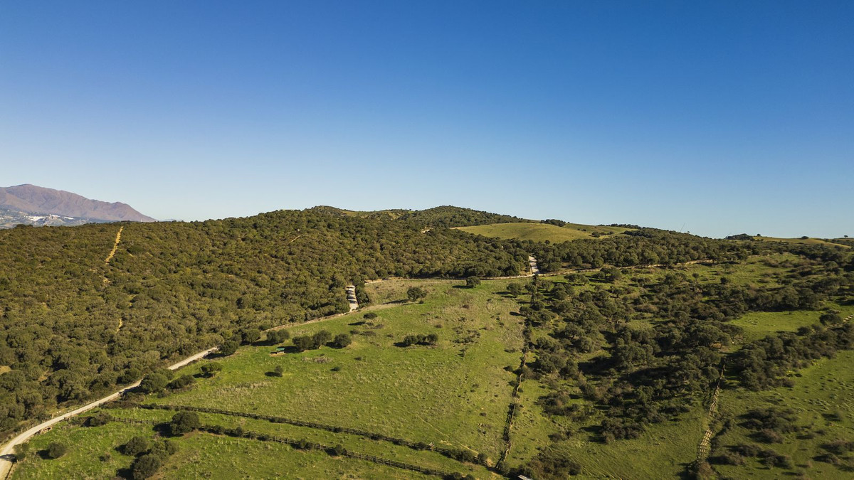 Maison de campagne à vendre à Estepona 36