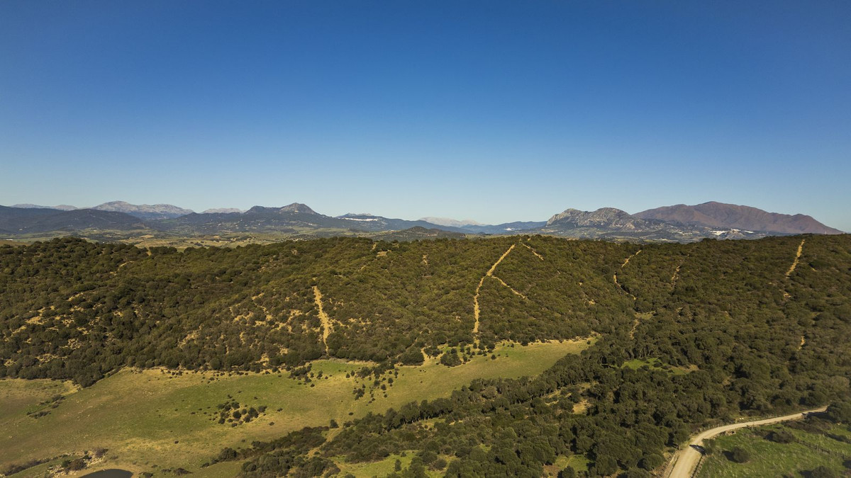 Maison de campagne à vendre à Estepona 37