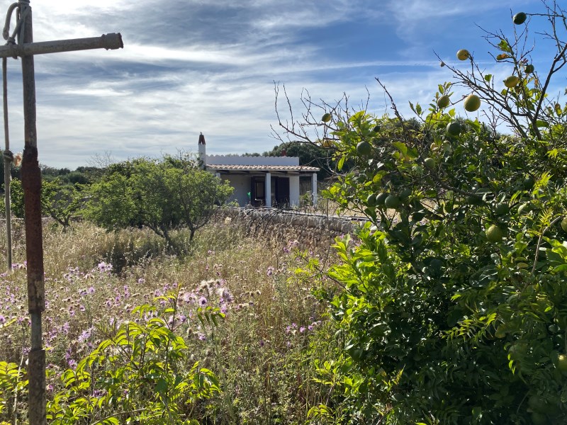 Plot à vendre à Menorca East 4