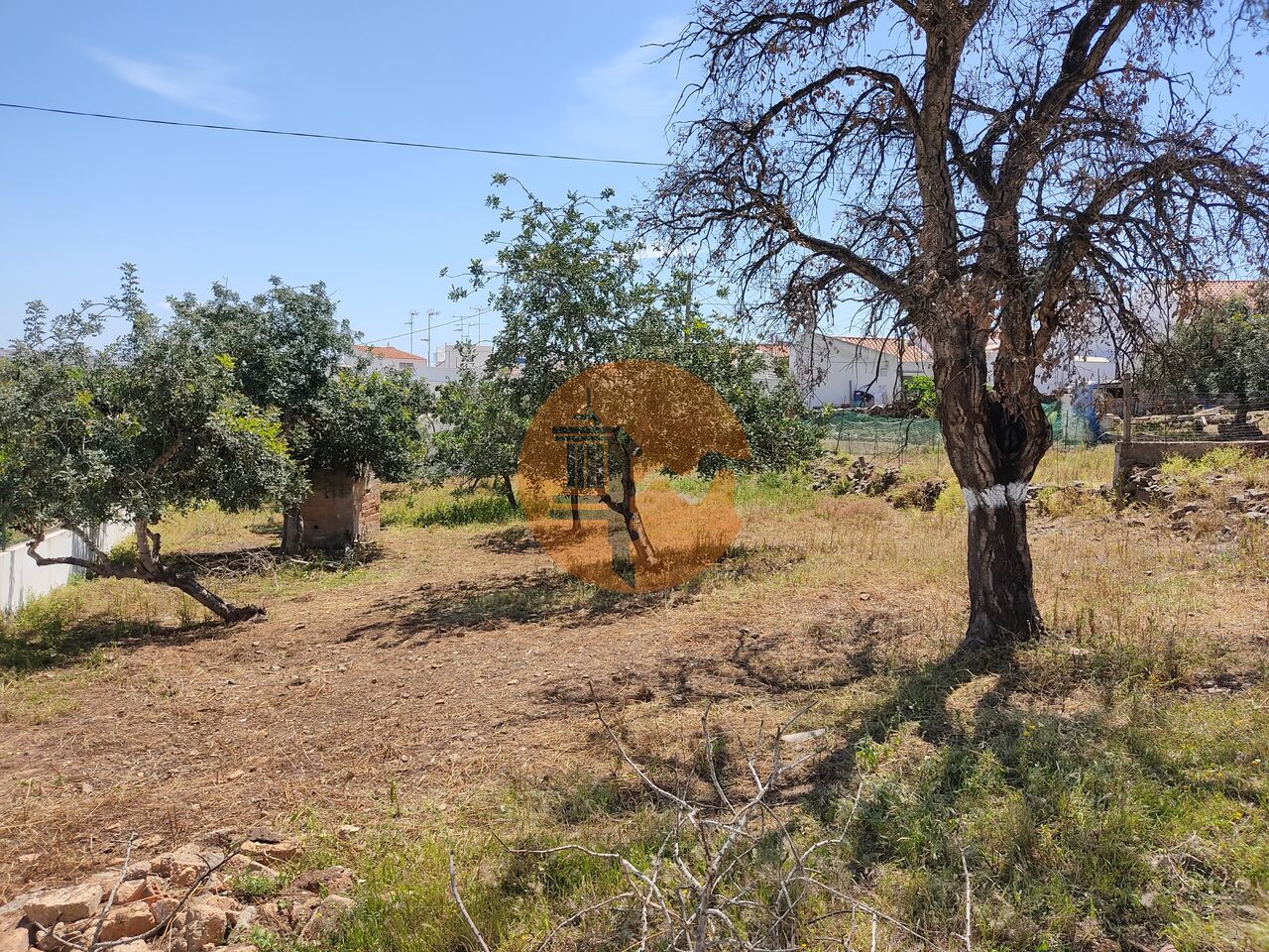 Plot for sale in Faro 22