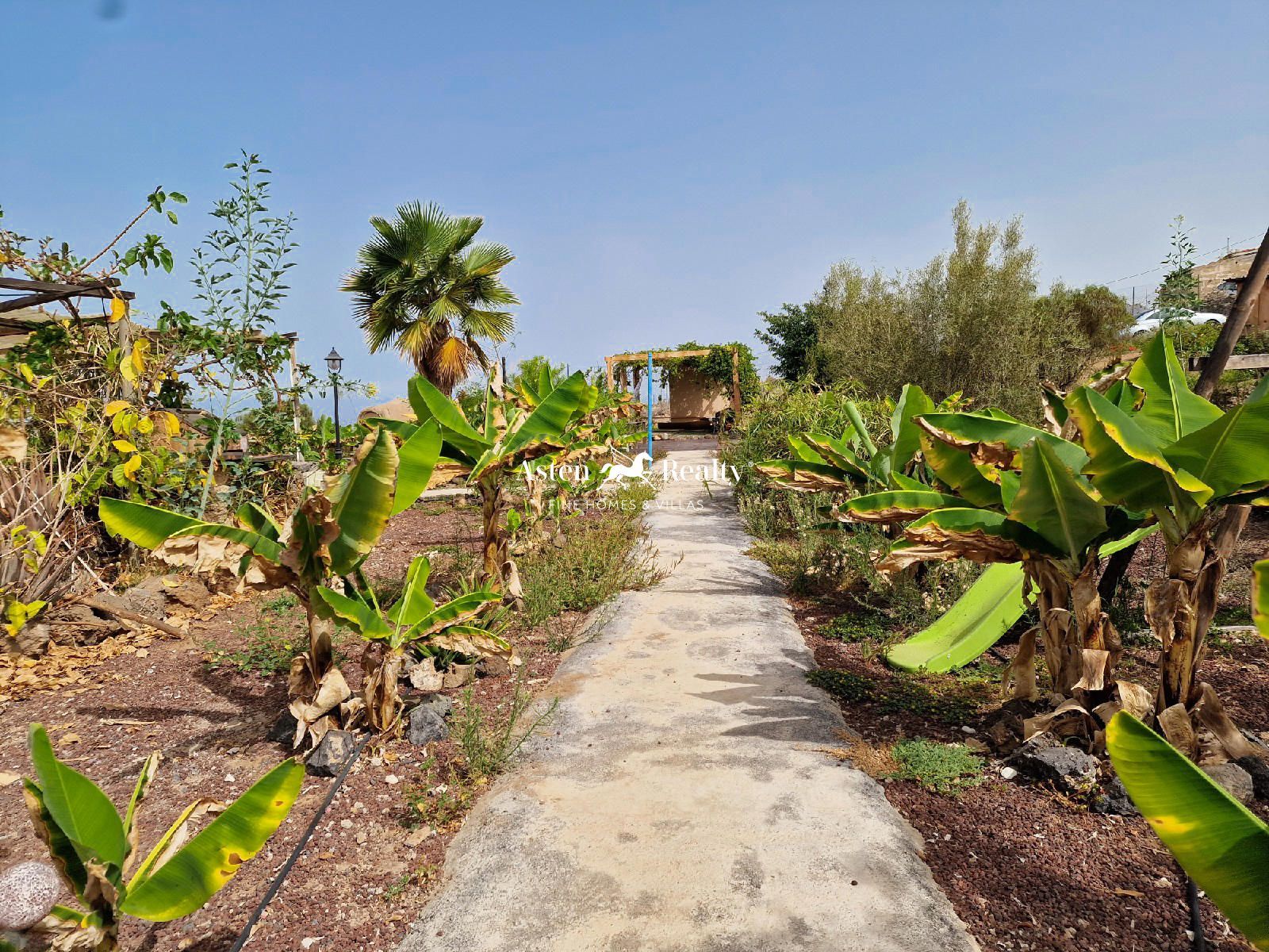 Haus zum Verkauf in Tenerife 30