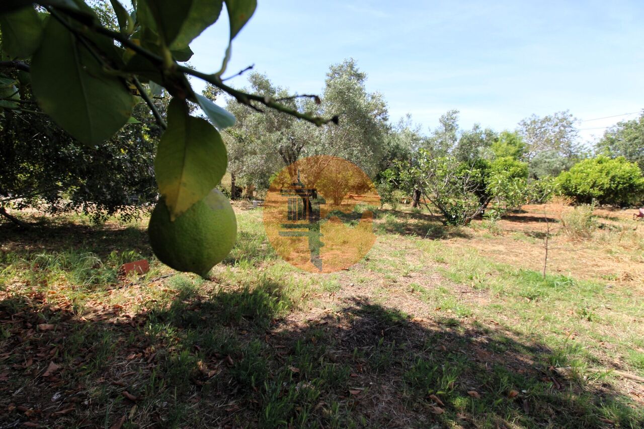 Villa à vendre à Faro 46