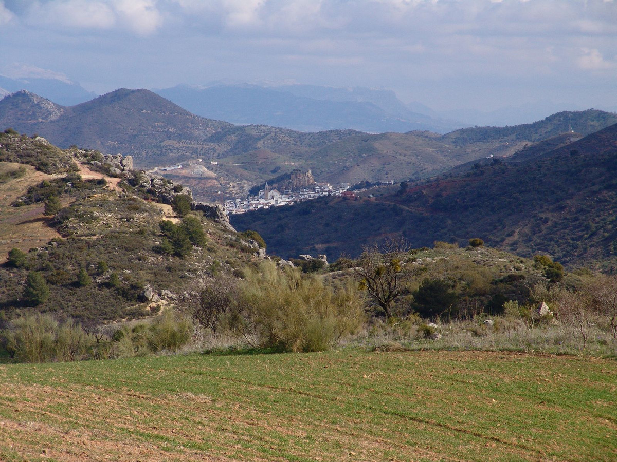 Загородный дом для продажи в Málaga 10