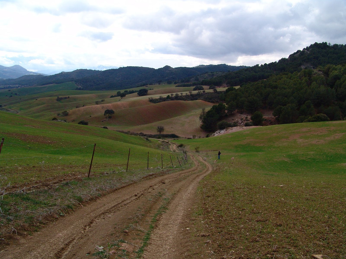 Countryhome na sprzedaż w Málaga 2