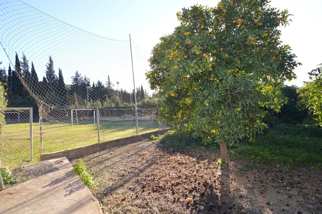 Countryhome te koop in Campo de Gibraltar 6