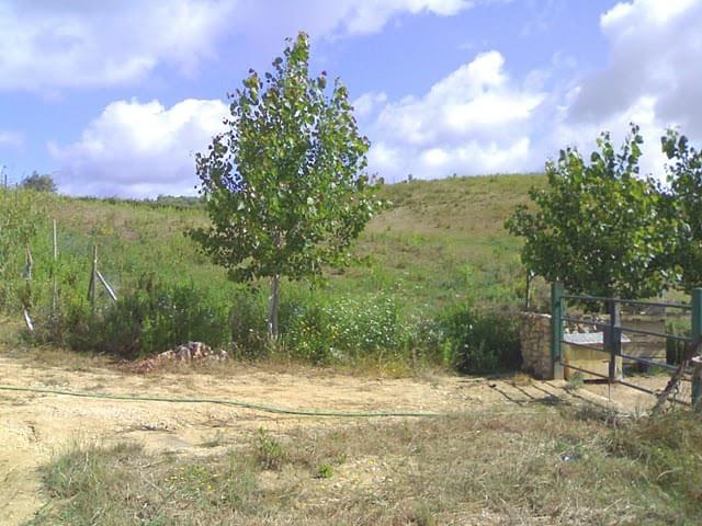 Plot for sale in Guardamar and surroundings 10