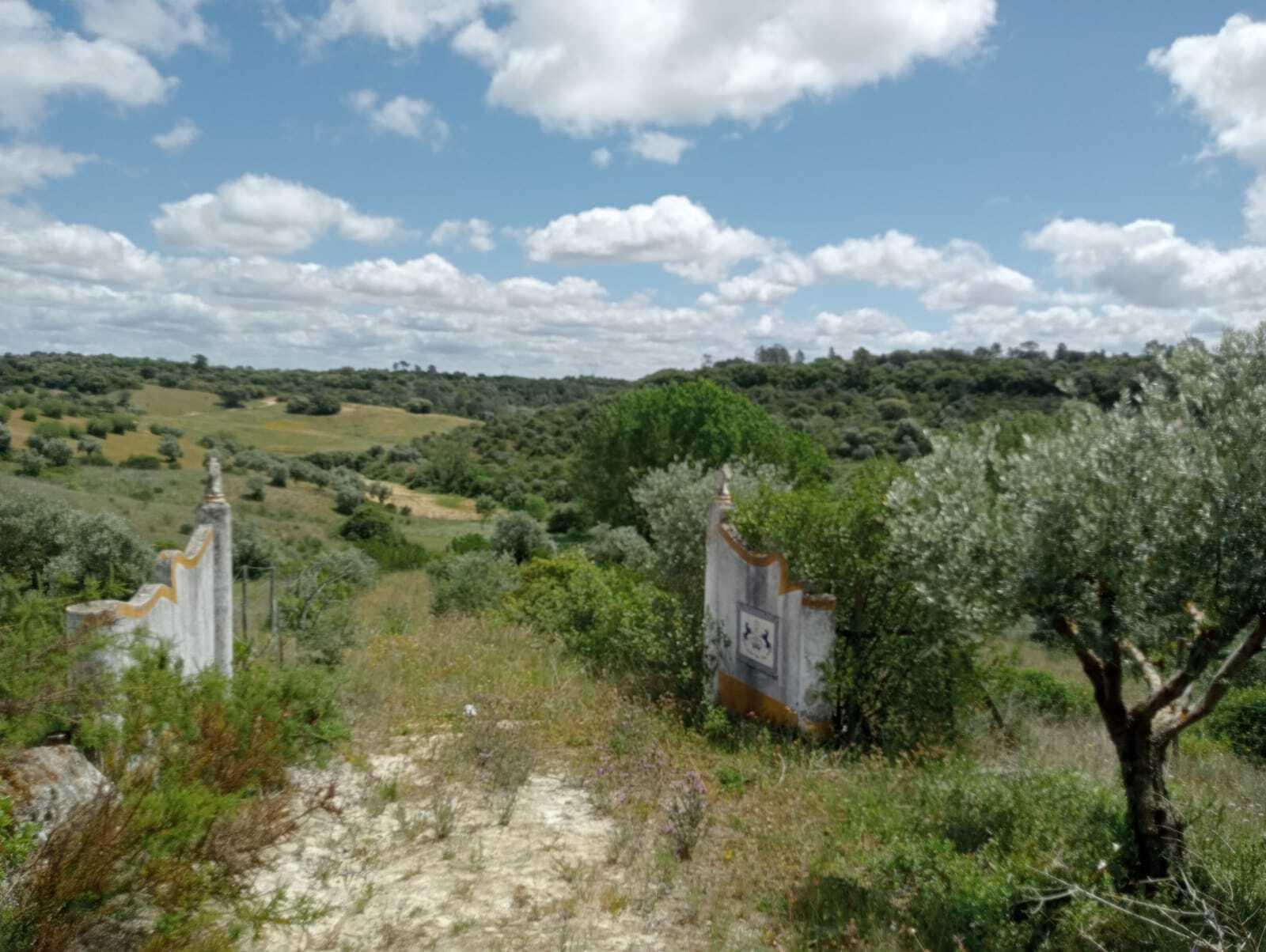 Plot for sale in Guardamar and surroundings 2