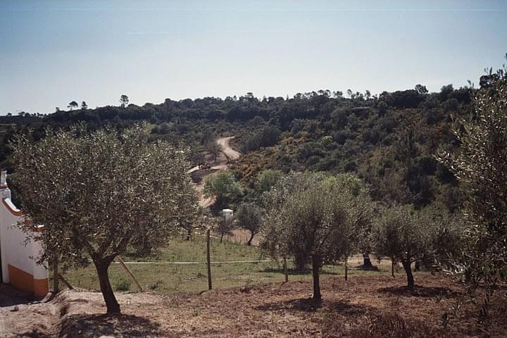 Plot à vendre à Guardamar and surroundings 7