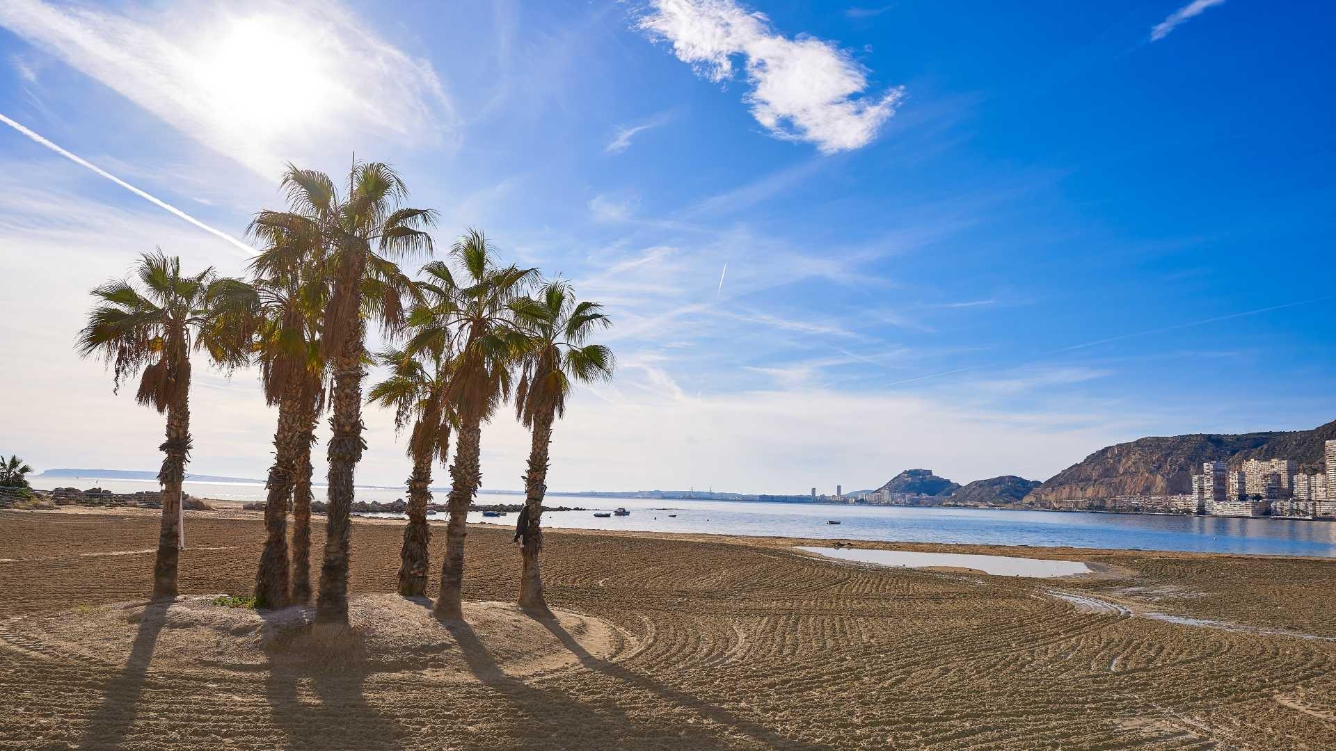 Chalé en venta en Alicante 8