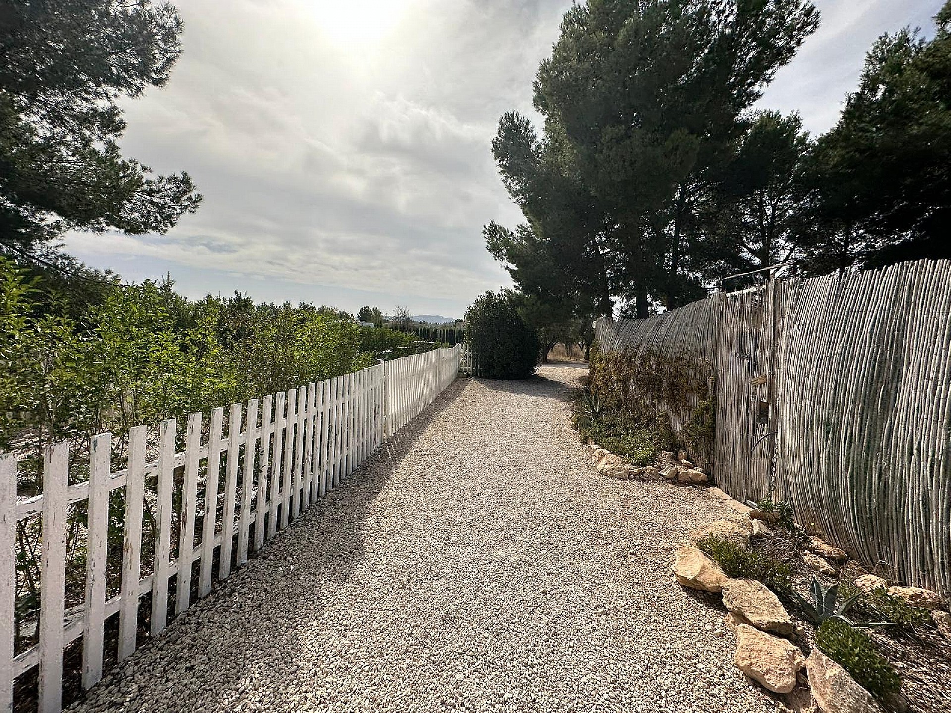 Plot for sale in Alicante 49