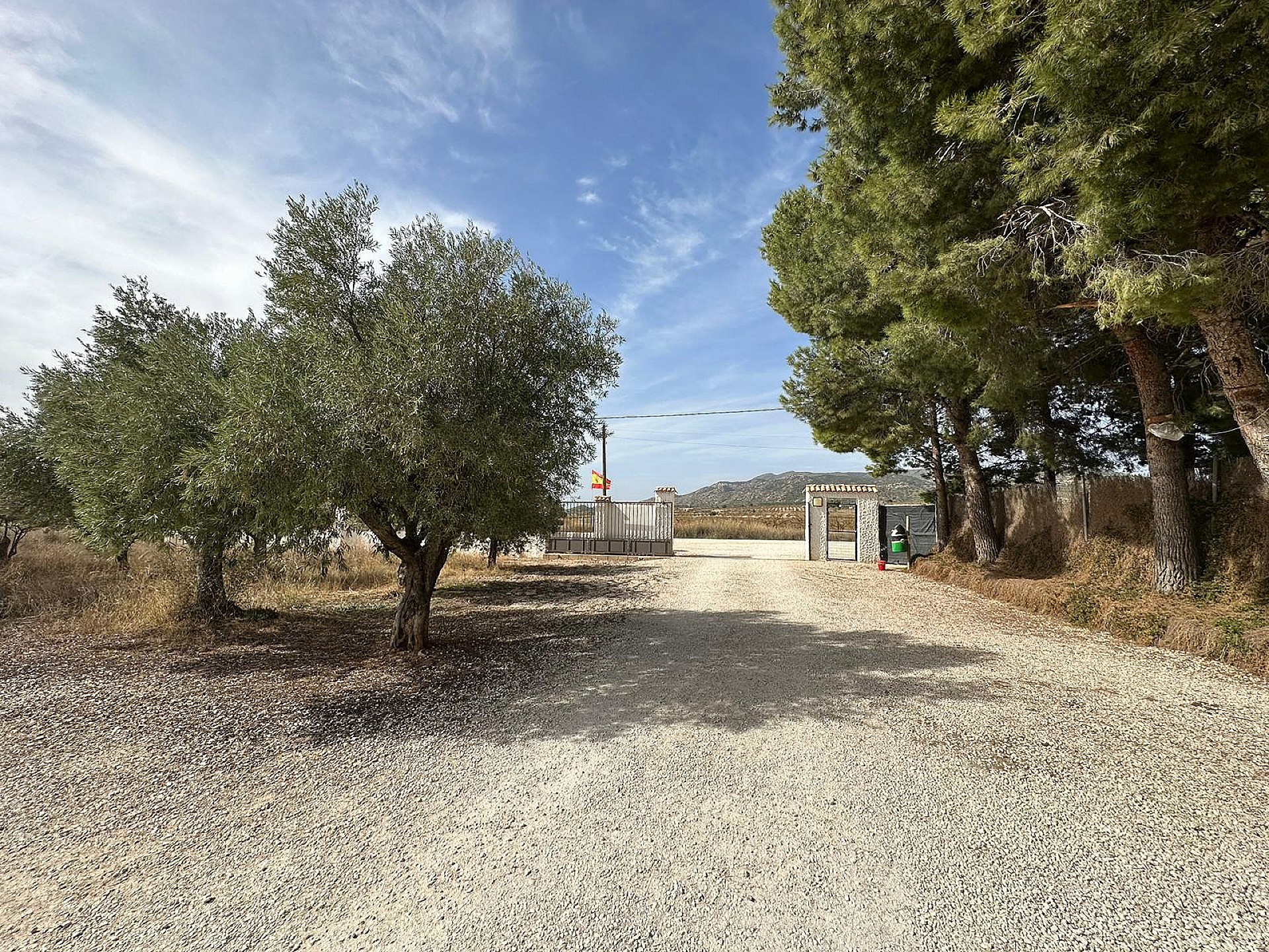 Plot for sale in Alicante 54