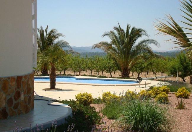 Villa for sale in Alicante 13