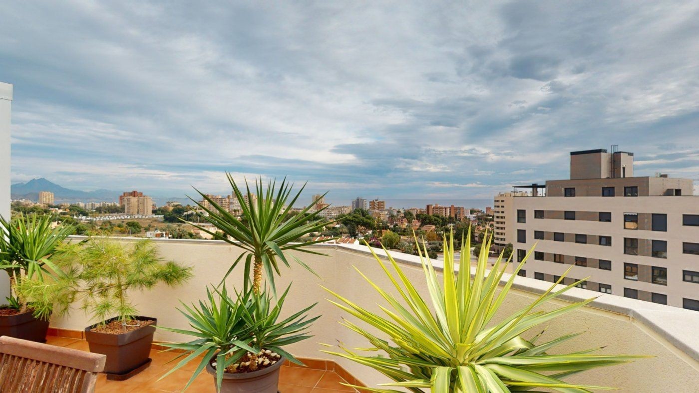 Property Image 626610-alicante-alacant-penthouse-4-3