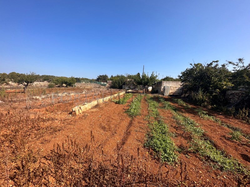 Plot for sale in Menorca East 4