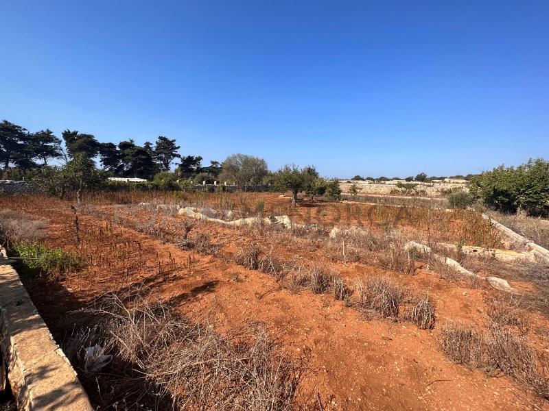 Plot for sale in Menorca East 5