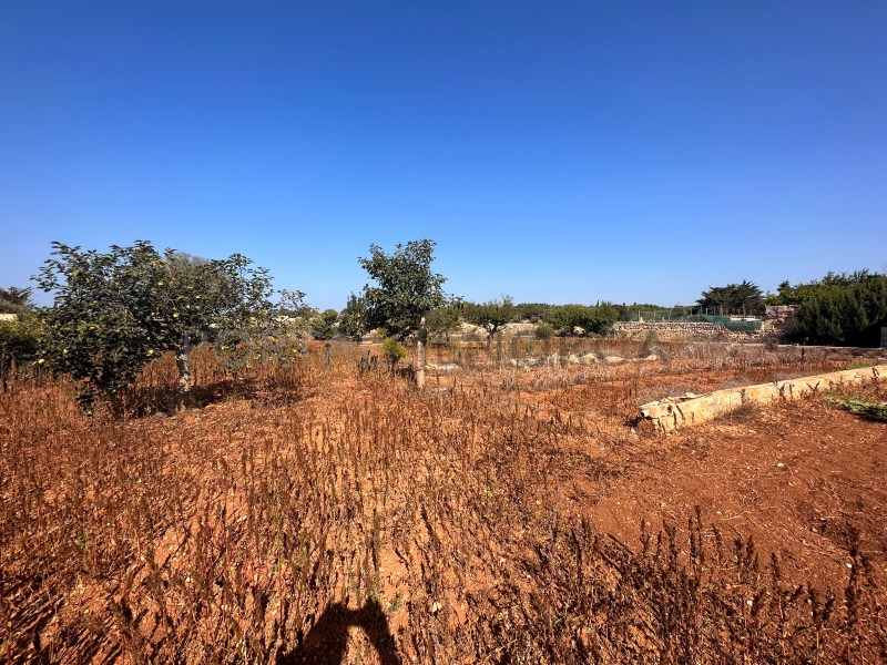 Plot for sale in Menorca East 6