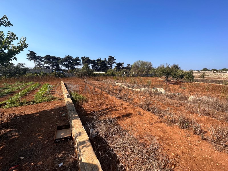 Plot for sale in Menorca East 7