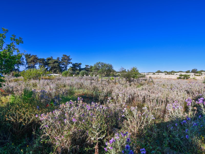 Plot à vendre à Menorca East 16