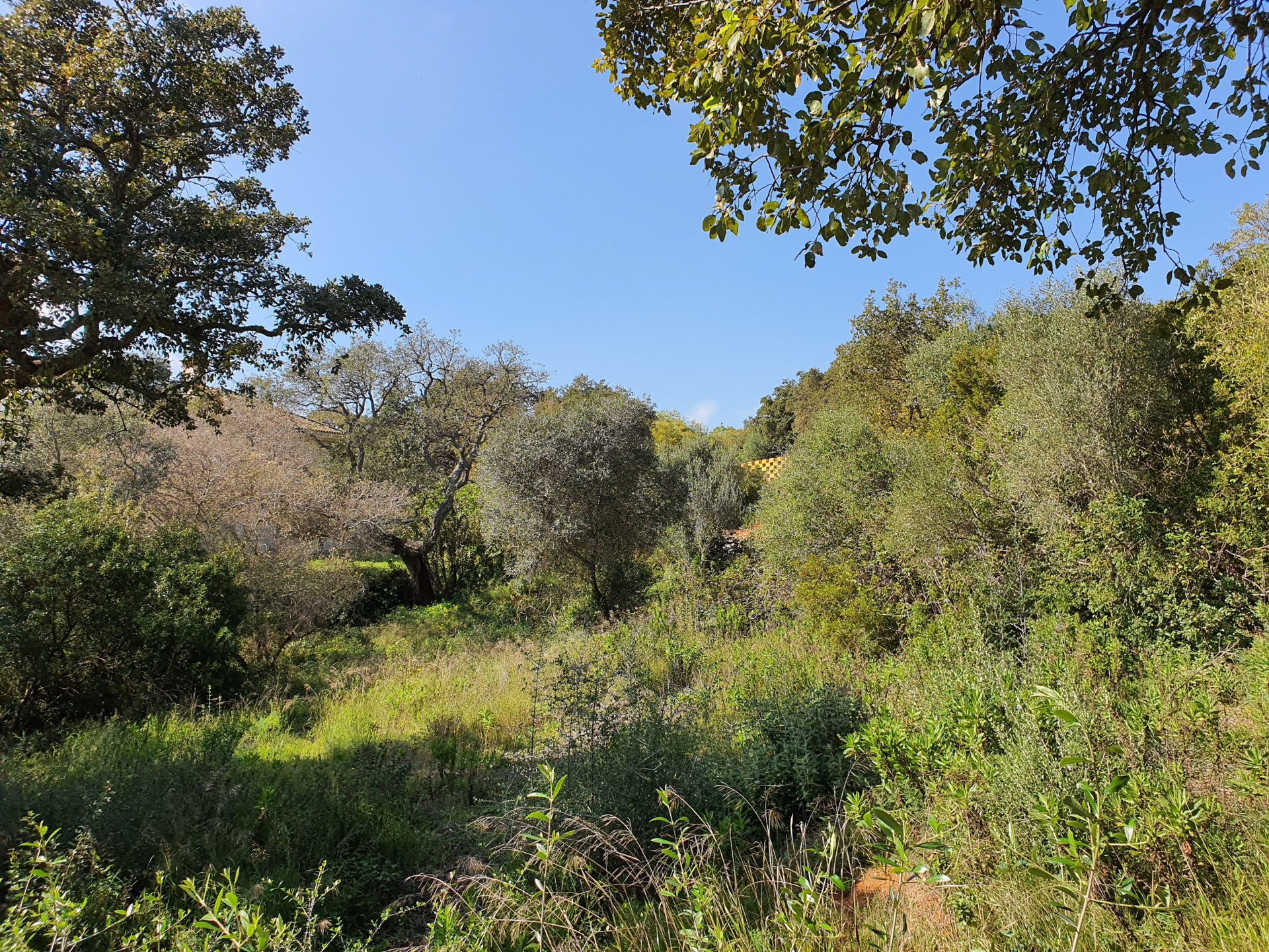 Property Image 627762-san-roque-plot