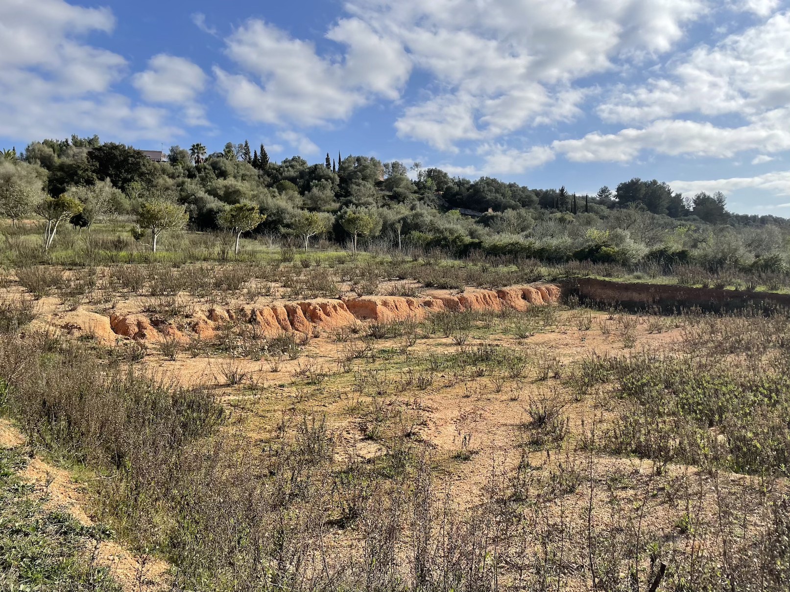 Plot à vendre à Mallorca East 7