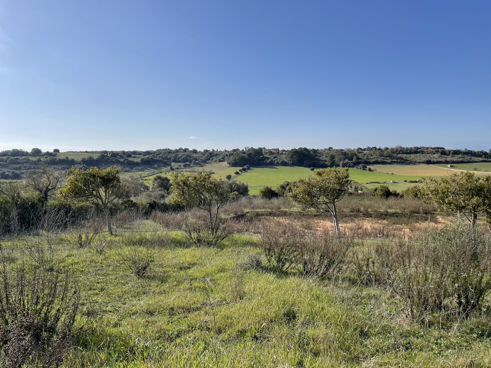 Plot à vendre à Mallorca East 9