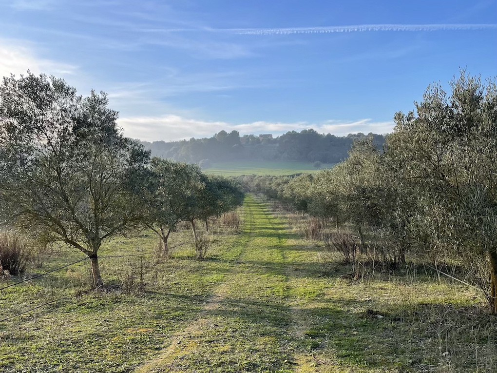 Działka na sprzedaż w Mallorca East 11