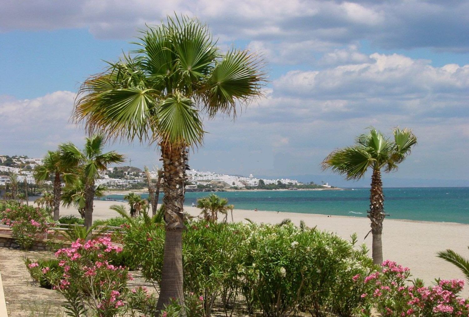 Działka na sprzedaż w Mojacar är Roquetas de Mar 12