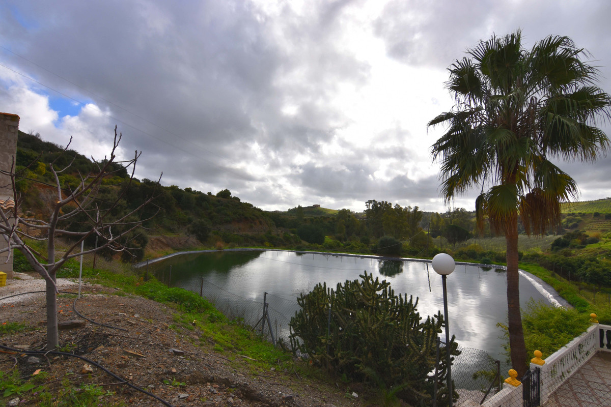 Property Image 630069-mijas-countryhome-8-4