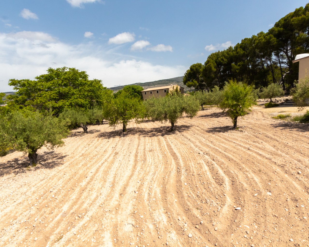 Villa à vendre à Alicante 47