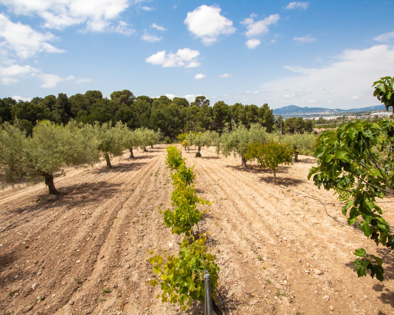 Chalé en venta en Alicante 49