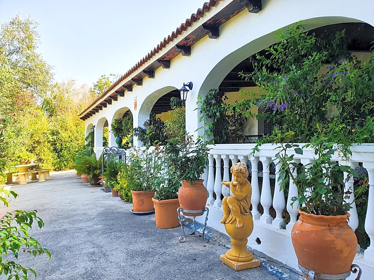 Maison de campagne à vendre à Campo de Gibraltar 1