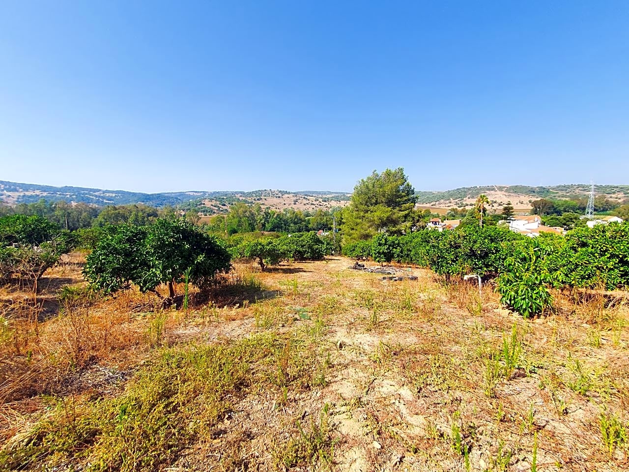 Maison de campagne à vendre à Campo de Gibraltar 18