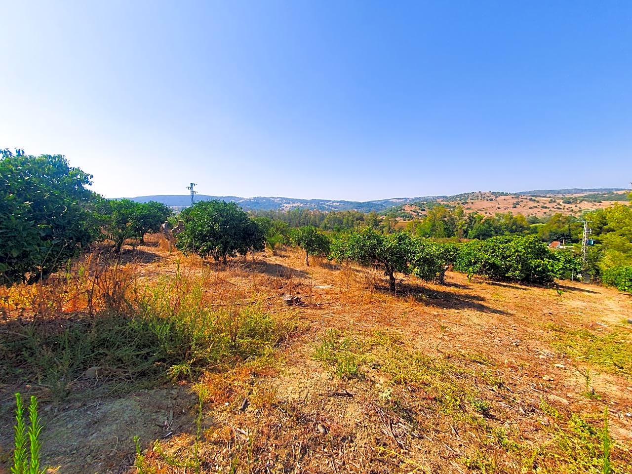 Maison de campagne à vendre à Campo de Gibraltar 19