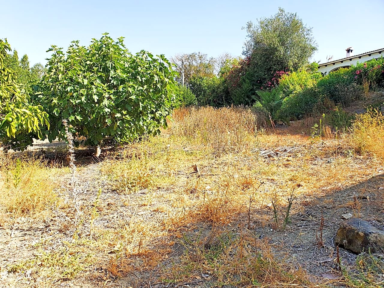 Maison de campagne à vendre à Campo de Gibraltar 20