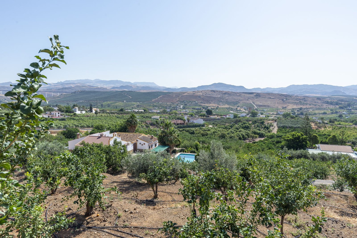 Countryhome te koop in Málaga 2