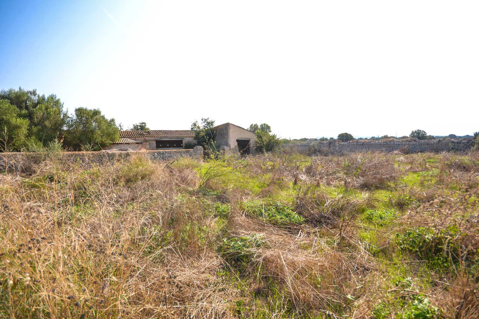 Property Image 630697-vilafranca-de-bonany-countryhome-5-2