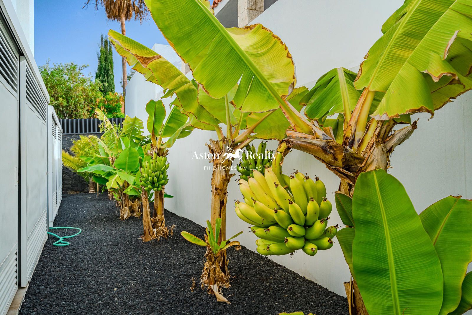 Villa à vendre à Tenerife 23