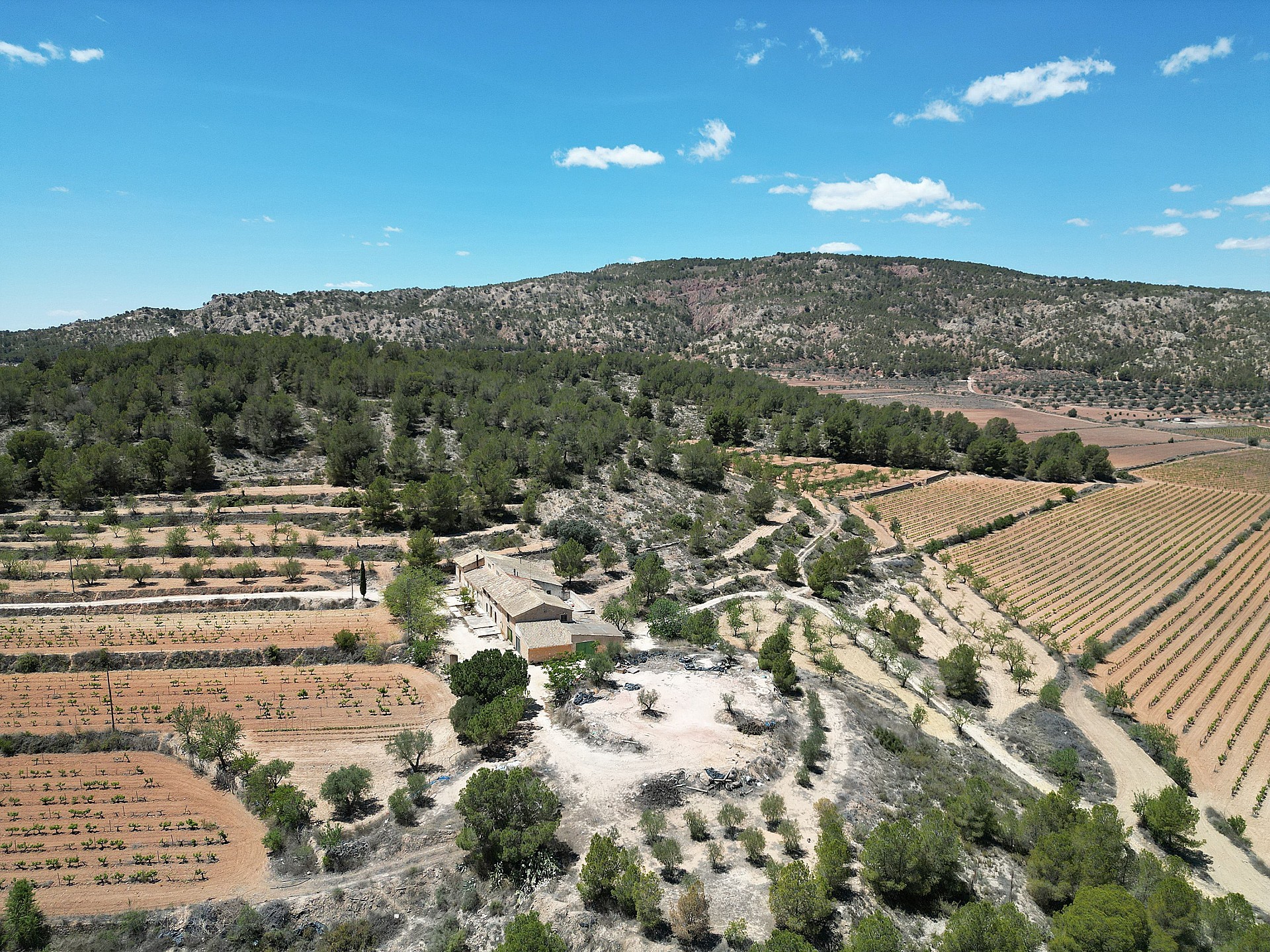 Maison de campagne à vendre à Alicante 107