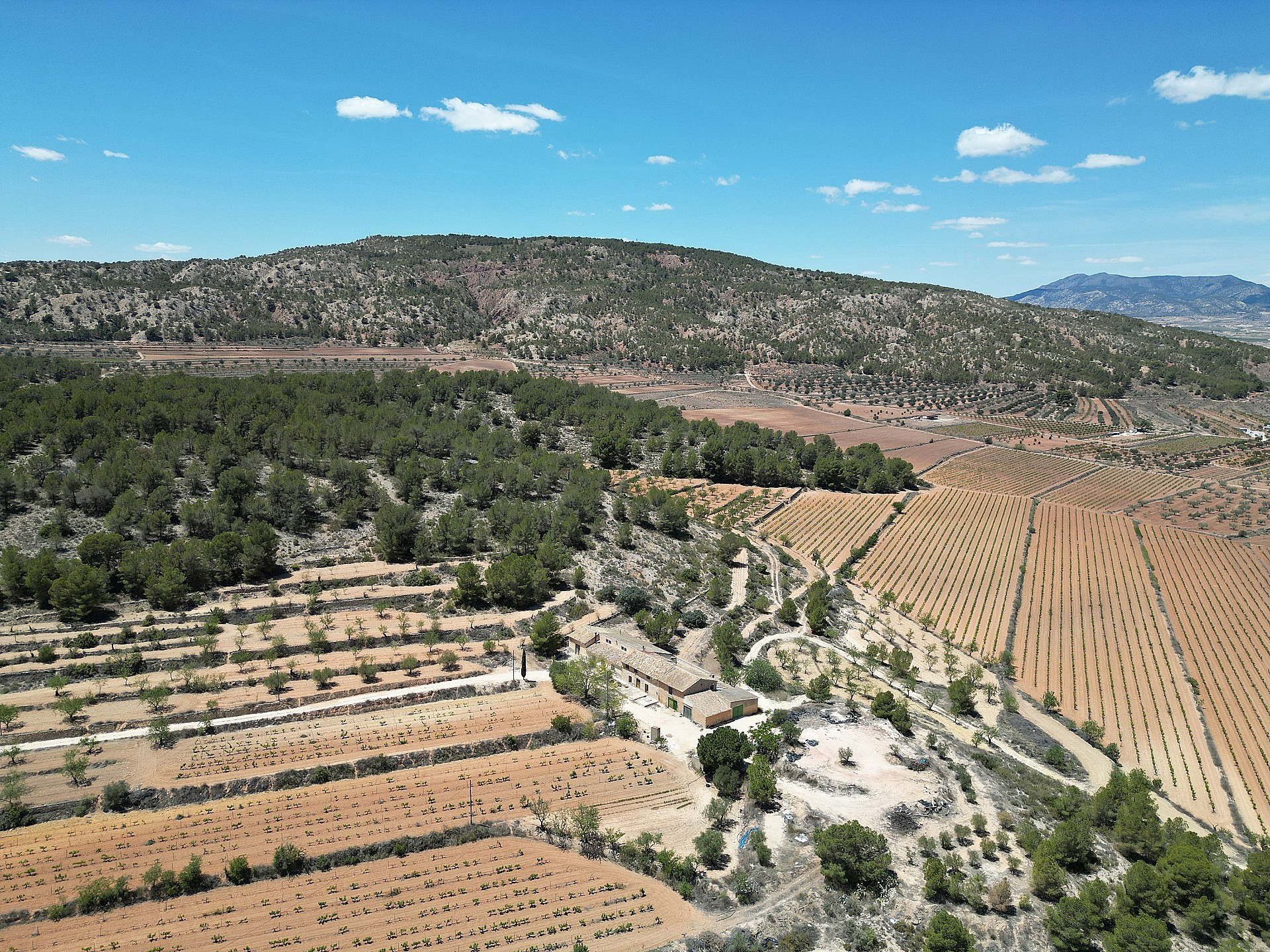 Maison de campagne à vendre à Alicante 118