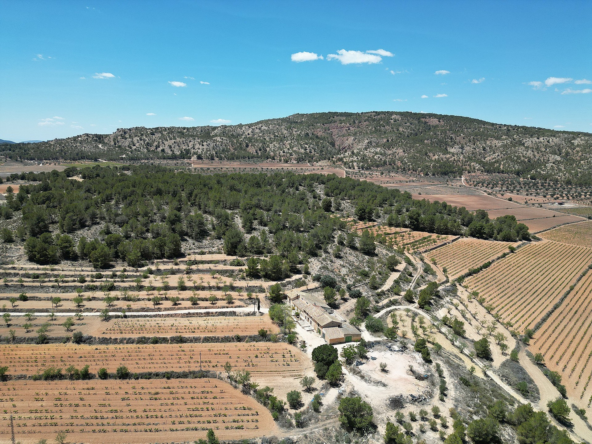 Maison de campagne à vendre à Alicante 119