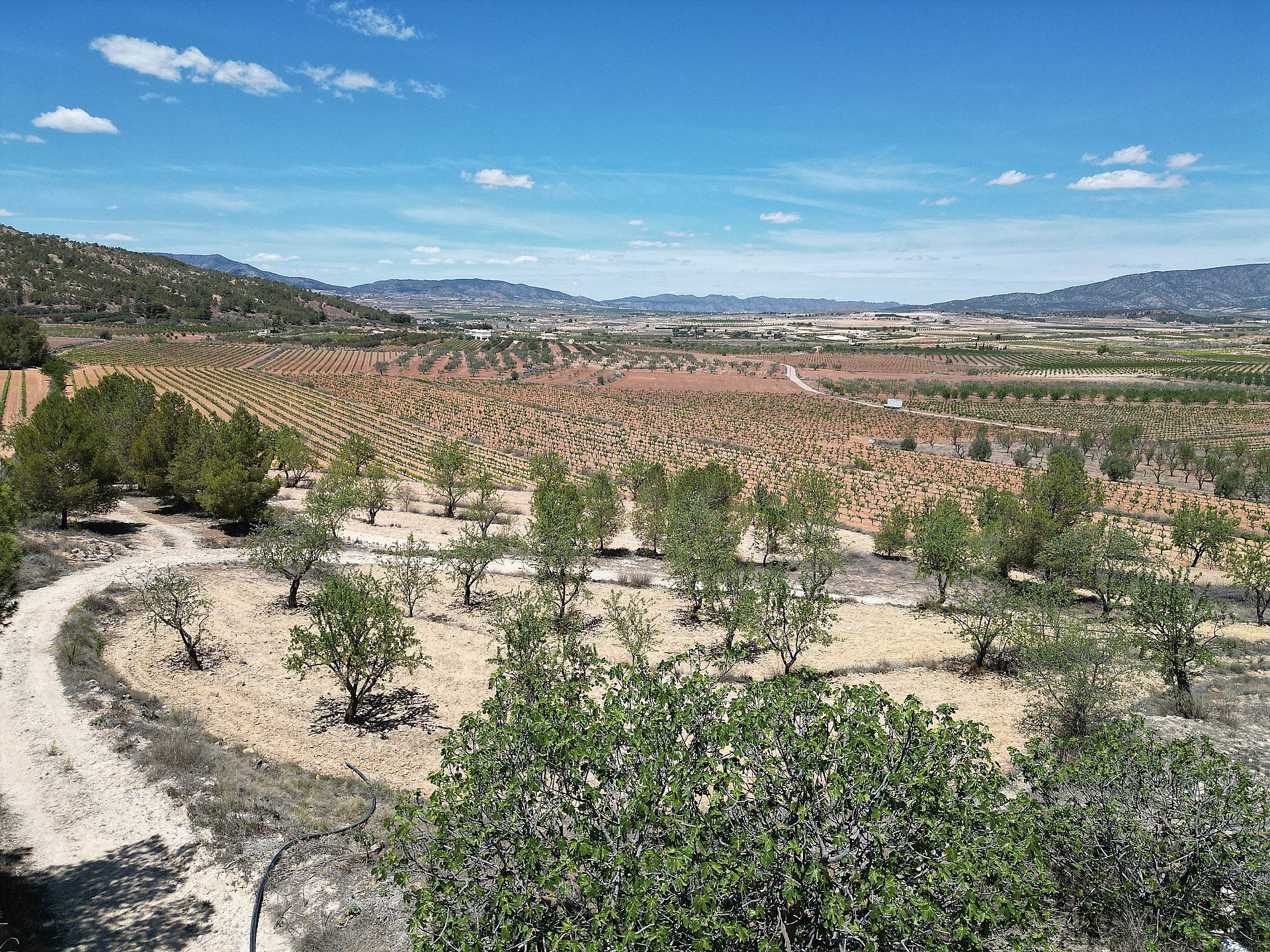 Maison de campagne à vendre à Alicante 127