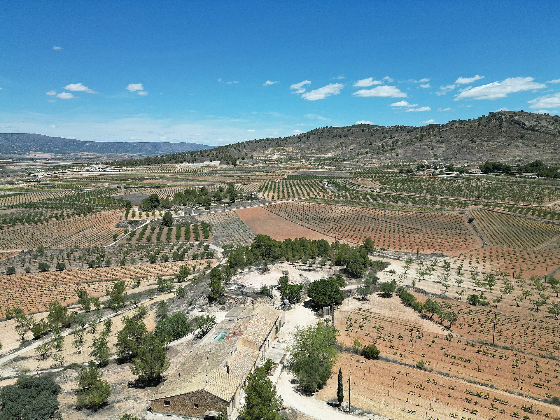 Maison de campagne à vendre à Alicante 98