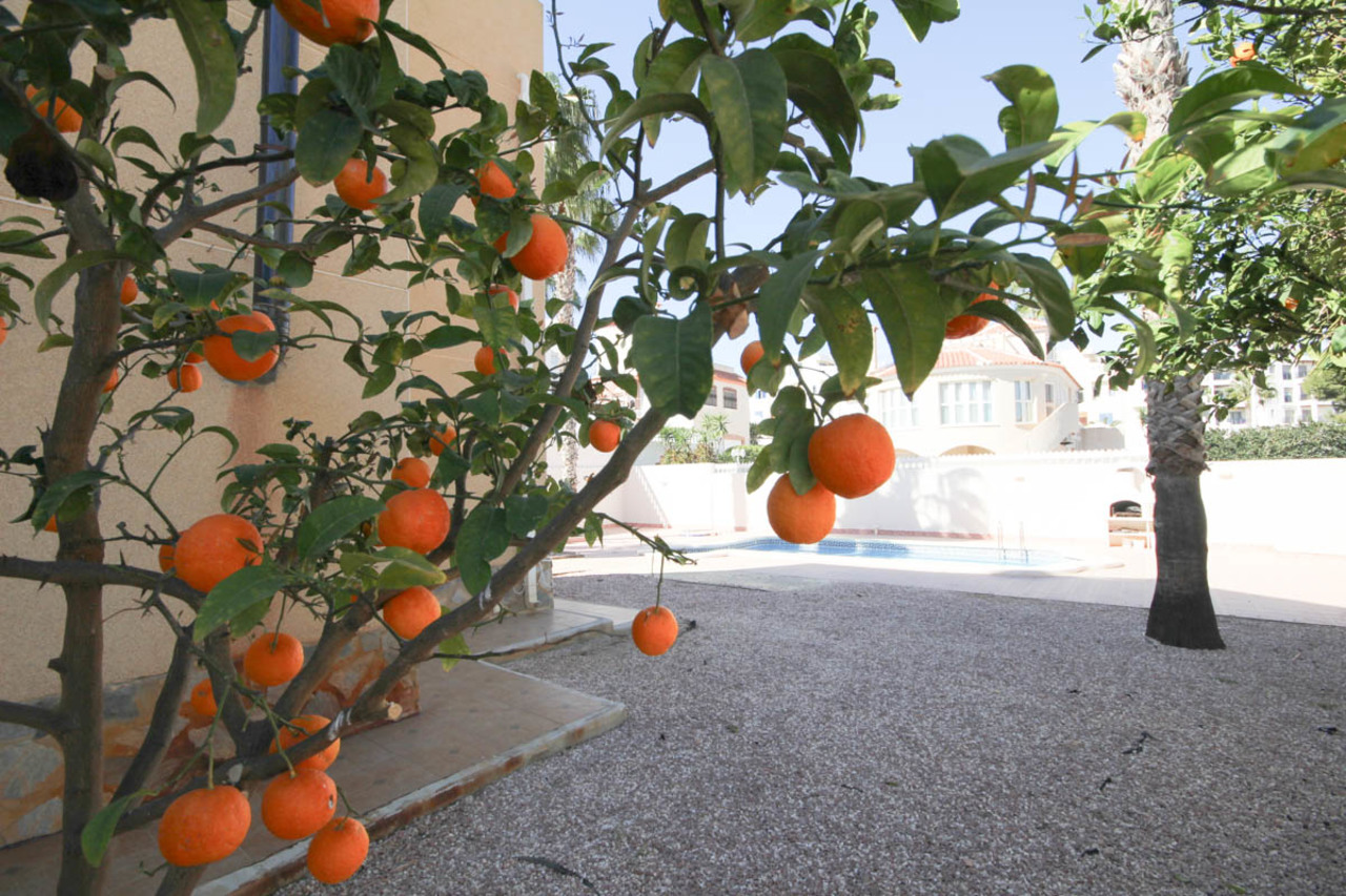 Chalé en venta en Alicante 17