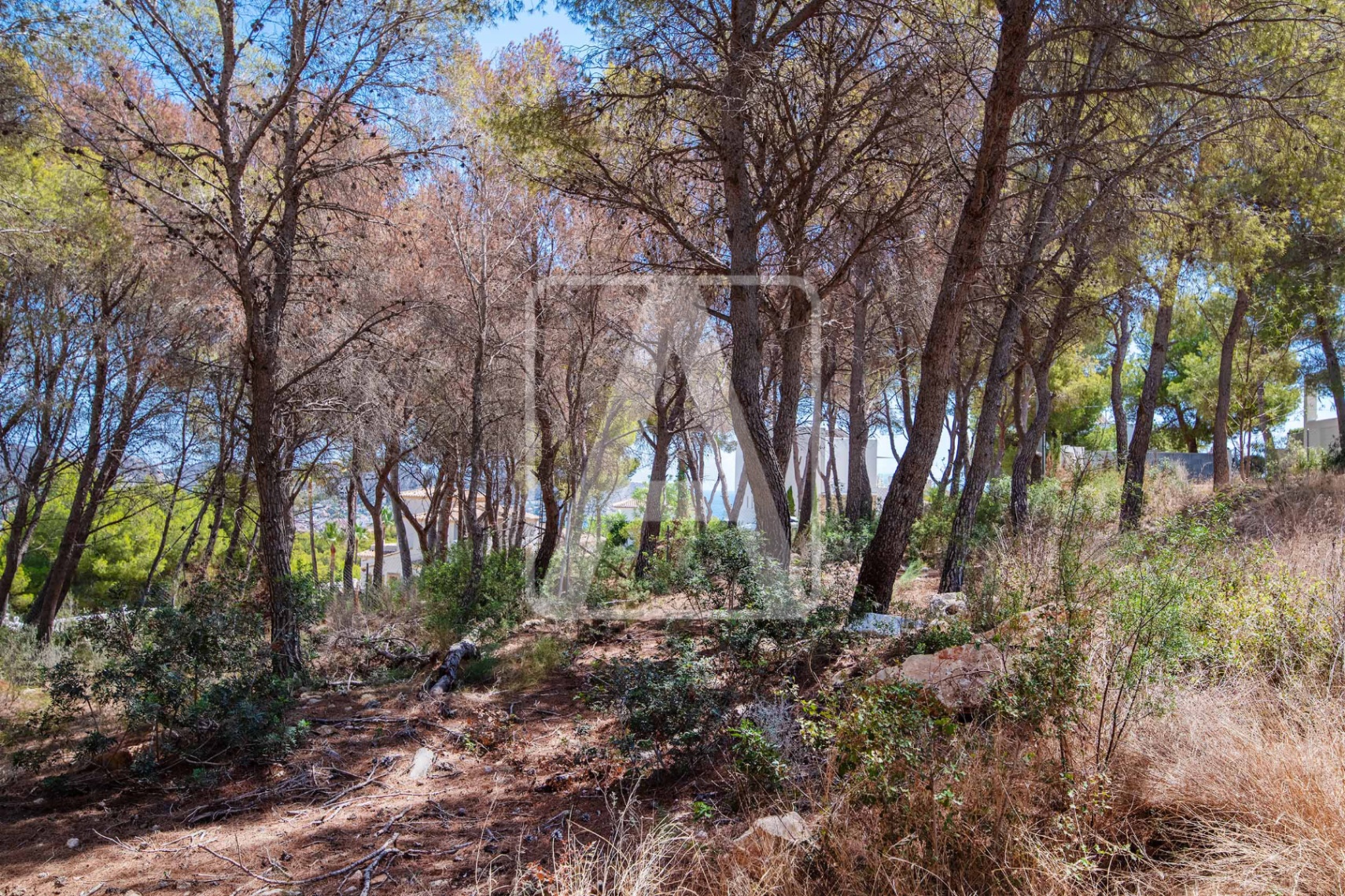 Plot for sale in Teulada and Moraira 6